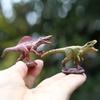 Dinosaur Model Pvc Blind Box Collectible Toy For Kids And Adults