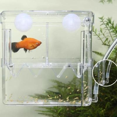 Peacock Fish Breeding Box Fish Aquarium Acrylic Isolation Box Fish Tank Hatchery Incubator Breeder Box Aquarium Supplies