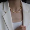 Retro Metal Chain Necklace for Women Simple Punk Trendy Chokers Geometric Chunky Short Collarbone Chain Jewelry Gift