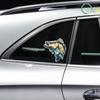 Accesorii de exterior – Autocolante pentru auto
