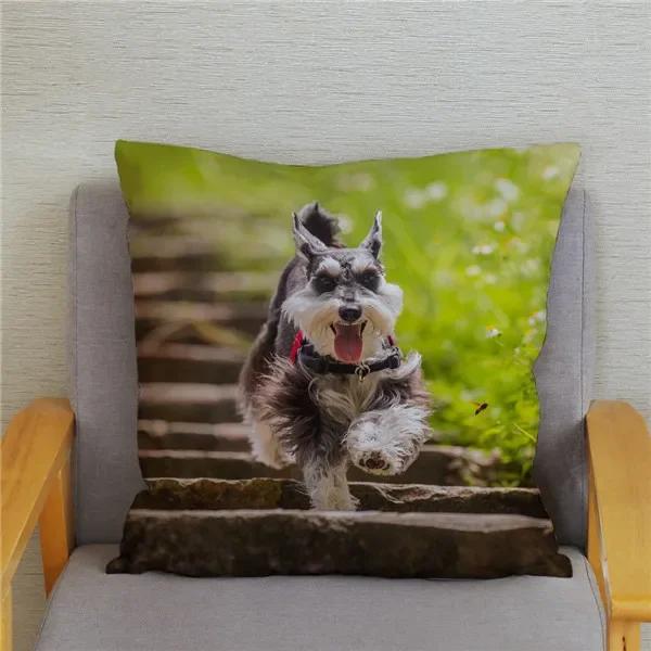 Home Bedroom Pillowcase Cute Schnauzer Print Cushion Cover Decor