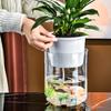 Small Hydroponic Vase for Phalaenopsis & Succulents - Desktop Decoration