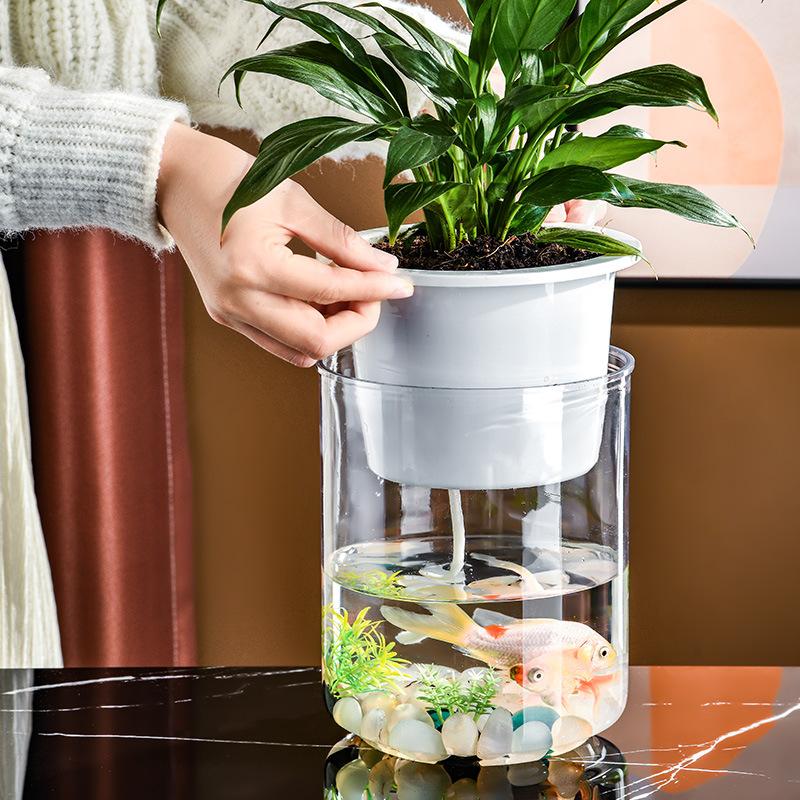 Small Hydroponic Vase for Phalaenopsis & Succulents - Desktop Decoration