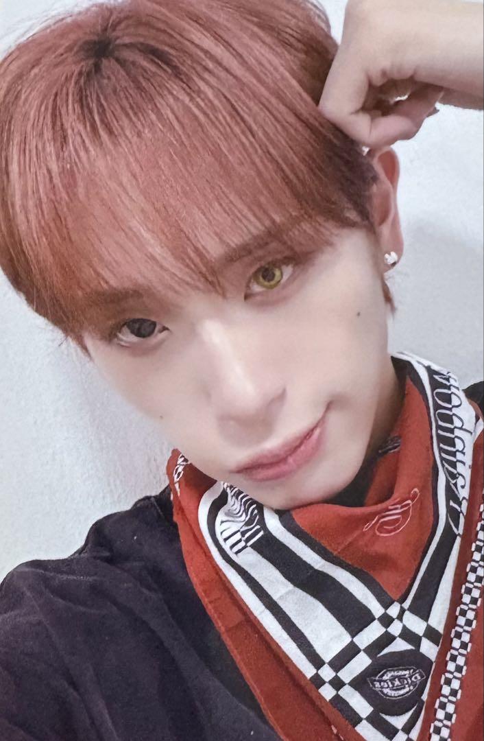 

[USED] XLOV Hal EVERLINE Trading Card