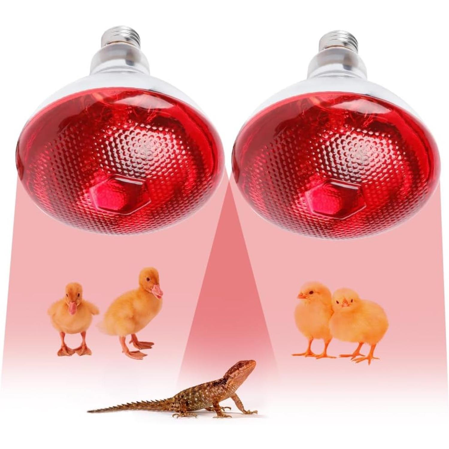2Pcs Infrared Heat Lamp Bulb, 250W Infrared Reptile Heat Lamp Bulb, Infrared Glass Bulb, Waterproof Basking Spot Red Heat Light for Poultry Chicks 2PCS