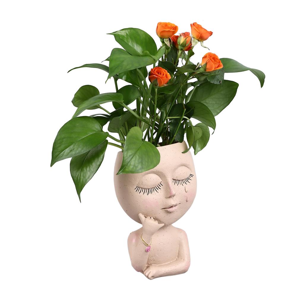 Resin Flower Pots for Home, Unique Flower Pot for Indoor and Outdoor Plants, with Drainage Hole, Add   and Personality To Your Home