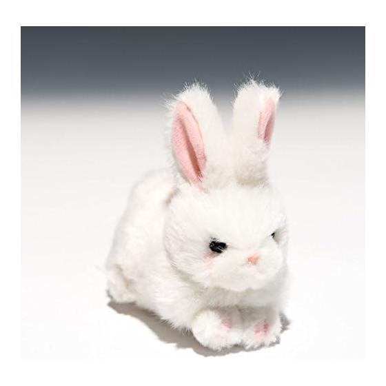 Takenoko Puchi Puchi Land A Rabbit White Plush Toy 58432