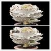 Elegant Sparrow Fan Succulent Collection - White, Expensive, and Black Variants in Small Potted Plants