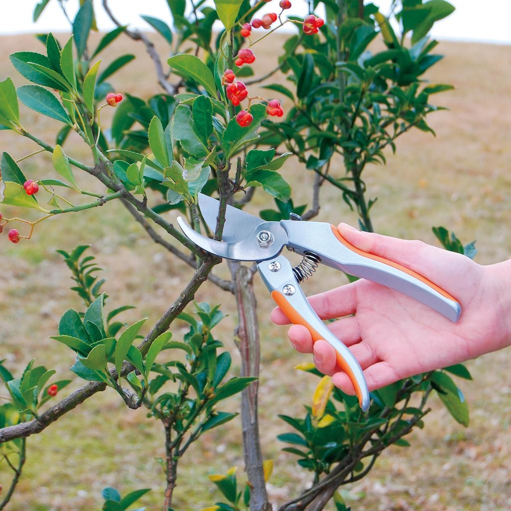 Takagi Sun Garden Pruning Aluminum Easy to Apply Cuts Thick Stainless Steel Garden Fruit TAKAGI Shears, Die-Cast, 200mm, Force, Branches, Blade,