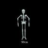 32/90/150 cm bewegliches menschliches Skelett, Halloween-Dekoration, Party-Requisite