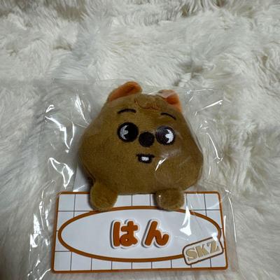 [USED] Straykids Name Bag Charm Hank Okka