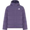 Men's Helionic Down Jackets Men's Soft Violet Hooded (Non-detachable) Moderate
