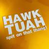 Funny Hawk Tuah Spit On That Thang Stickers Waterproof Car Prank Sticker  Car Accessories