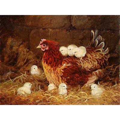 Pittura diamante 5D fai da te fattoria degli animali pollo ricamo diamante rotondo completo punto croce