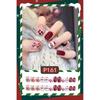 24Pcs/set Christmas Snowflake Christmas False Nails Christmas Fake Nail Extension  Manicurist
