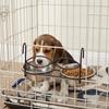 Hunde – Näpfe & Tränken für Hunde