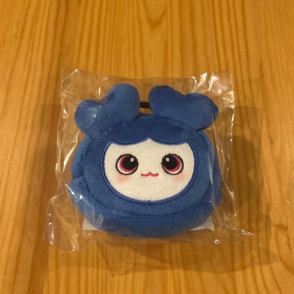 [USED] TWICE Earphone Pouch Tzuyu Tsuburi