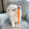 30PCS Cat Worm Toy Refills,Colorful Fuzzy Worm Cat Toy Teasers,Interactive Cats Wand Attachments Replacements for Indoor Cats Kitten(Multi Colored)