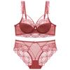 Sexy Lace Bralette Set Plus Size Women Minimizer Support Non-Sagging French Style