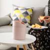 Small Desktop Waste Bin with Lid To Send Trash Bag Student Dormitory Bedroom Ins Wind Cute Pen Holder Office Household Plastic Trash Can