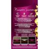 Tint - SCHWARZKOPF - Intense Cream Palette - Mahogany Color - Ammonia-Free - Cream