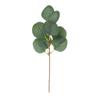 Nordic DIY Eucalyptus Branch for Wedding Decor