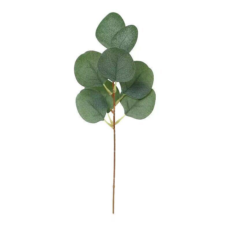 Nordic DIY Eucalyptus Branch for Wedding Decor