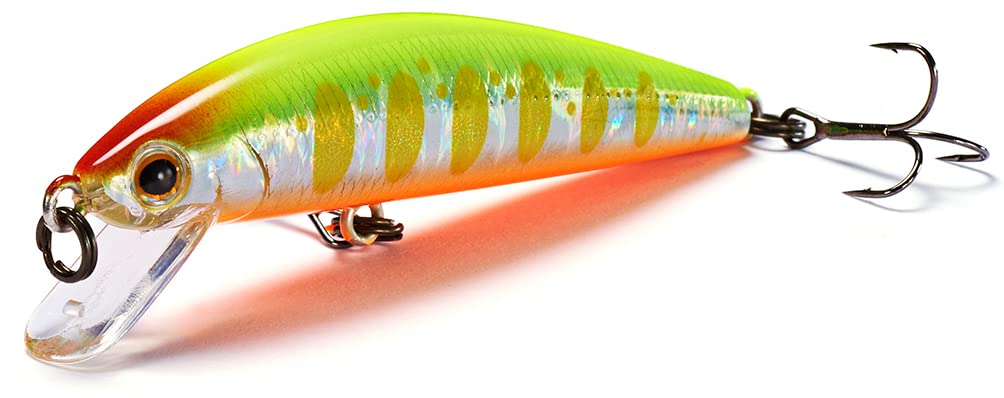 

Jackson Athlete 55SFH CYW Chart Yamame