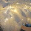 Feather Night Light Table Lamp LED Romantic Bedside Lamp for Girls Room Wedding Party Decor Battery Powered Decorative Accent Light
