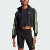 Adidas Originals Pride Crop Hoodie With Trefoil Logo Women Hoodies Black IU0050