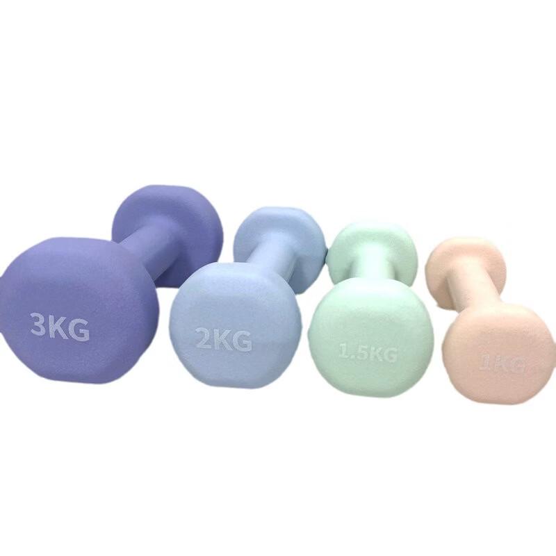 TLXT Ladies Thin Handle Dip-Coated Dumbbell