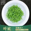 Gu Zhang Mao Jian 2026 Spring Green Tea – Mingqian Tender Buds, Rich Aroma, Drink or Wholesale