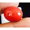 AAA+ Natural Red Coral 42.45 CT Oval Cabochon Cut Italian Loose Gemstone
