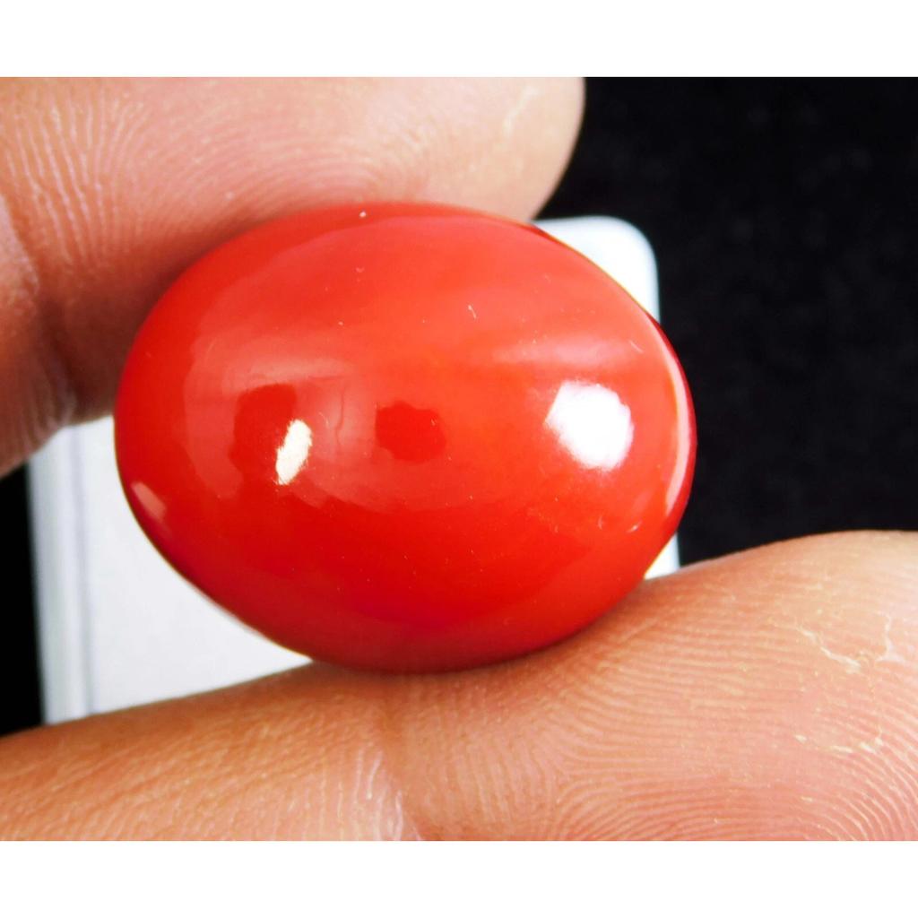 AAA+ Natural Red Coral 42.45 CT Oval Cabochon Cut Italian Loose Gemstone
