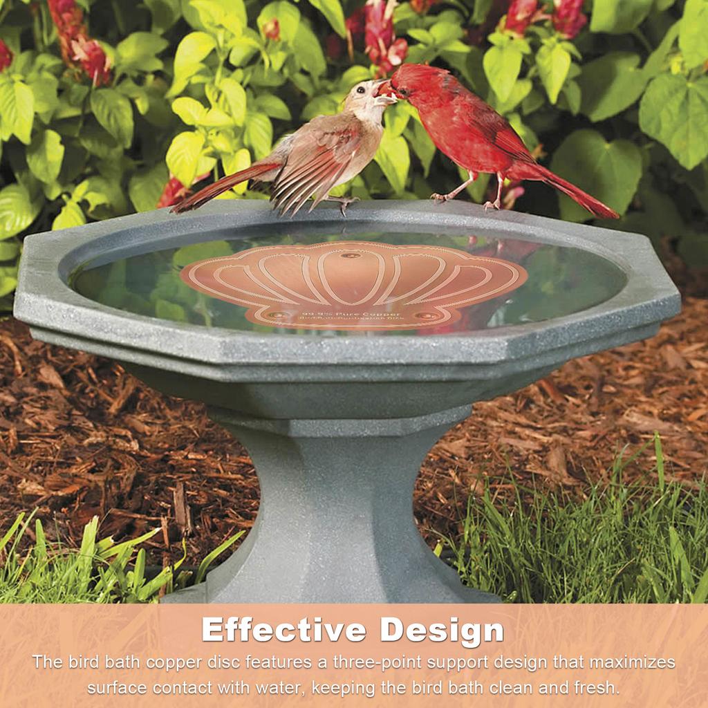 Bird Bath Copper Disk 0.8mm Triple-Point Support Design Bird Bath Purification Disk for Physical Safe Clean Water All-Season
