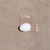 50/20/10pcs Simulated Pigeon Eggs Filled Solid Plastic Simulated Fake Eggs Racing Pigeon Hatching Supplies Bird Breeding Tools