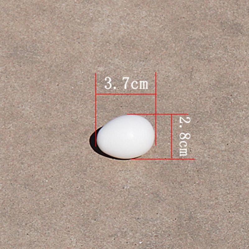 50/20/10pcs Simulated Pigeon Eggs Filled Solid Plastic Simulated Fake Eggs Racing Pigeon Hatching Supplies Bird Breeding Tools