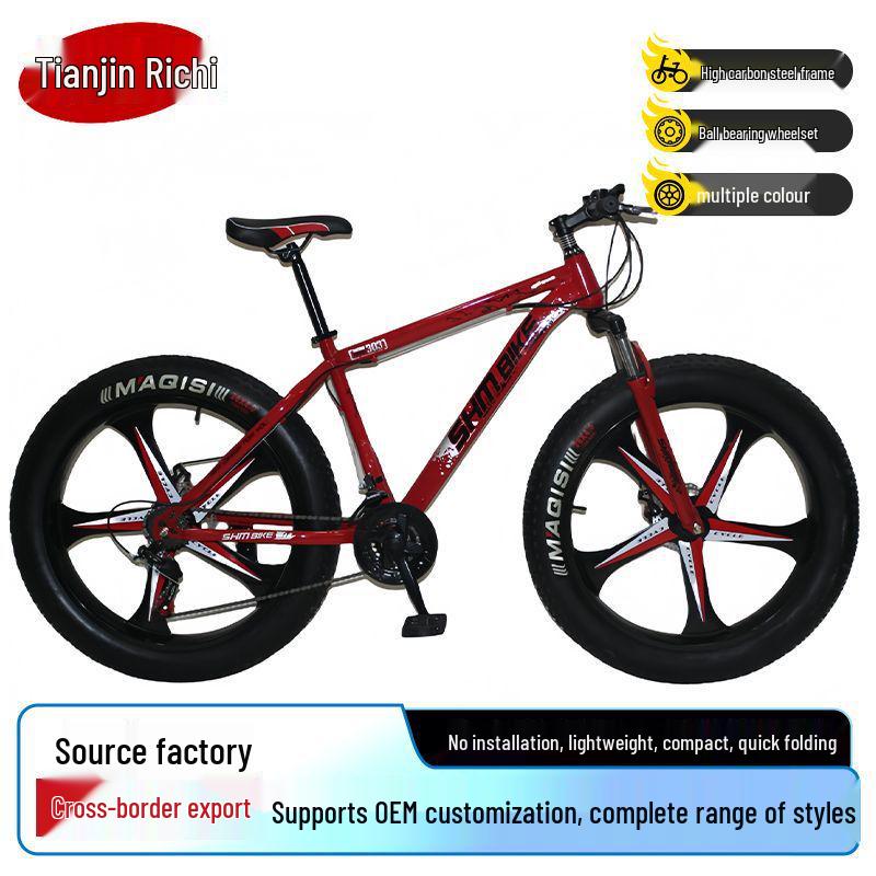 Snow Beach All-Terrain Mountain Bike: 26-inch, Large Tires, Gears, Double Disc Brakes & Suspension, In Stock