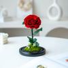 Unsterbliche Blume, die Rose des kleinen Prinzen, echte Blume getrocknete Blume, hochwertiges Fertigprodukt, Geschenk zum Geburtstag und Valentinstag für den Freund.