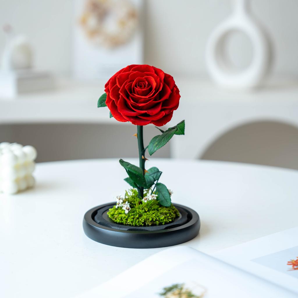 Unsterbliche Blume, die Rose des kleinen Prinzen, echte Blume getrocknete Blume, hochwertiges Fertigprodukt, Geschenk zum Geburtstag und Valentinstag für den Freund.