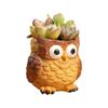 Adorable Resin Owl Shaped Succulent Planter for Home Office Decoration Mini Ornament Fairy Garden Owls Statues