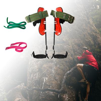 Carbon-Kletterspikes mit Gürtel zum Obstpflücken, Beobachten und Jagen
