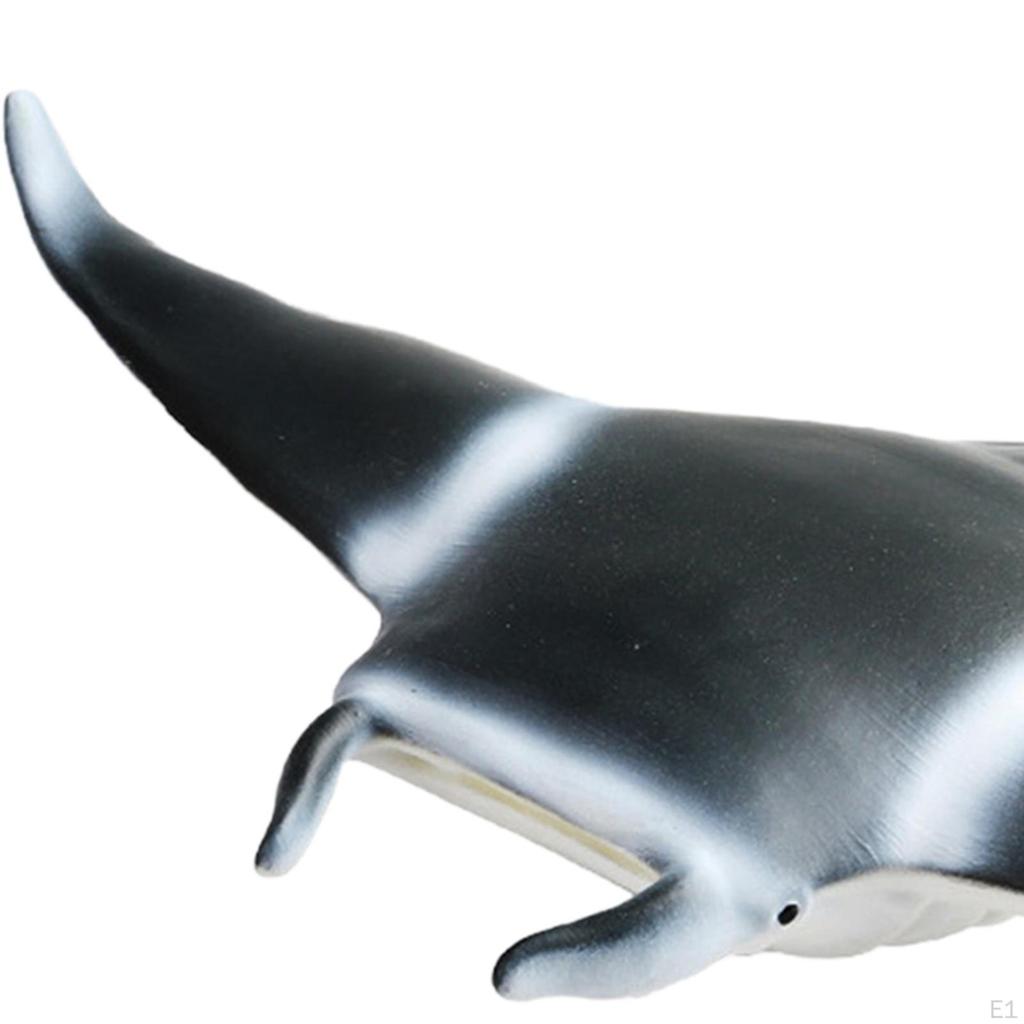 Realistic Sea Animal Figures Desk Decor Collection Kids Adults Gifts Play Toys Science