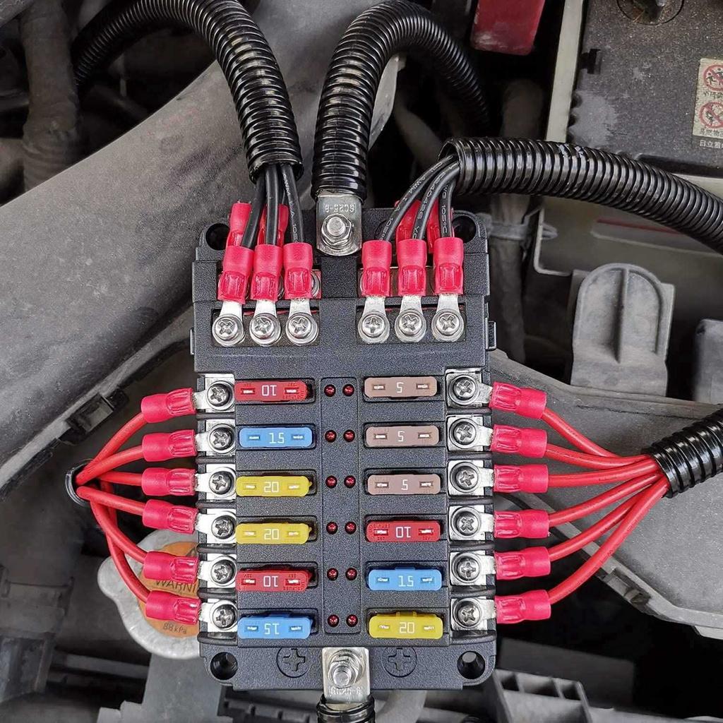 12V 12 Way Marine Fuse Block Panel with Ground & Volt Box for Car Automotive Boat RV RZR
