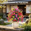 Künstliche Blume, Künstliche Petunien Mit Erdspieß, 18" Outdoor Kunstblumen Für Garten, Hof, Pflanzgefäß Und Veranda