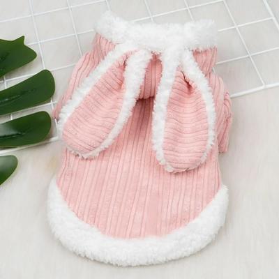 Lovable Cat Clothes Pet Autumn and Winterb Small Dog Kitten Two Legged Clothes Cat Puppy Warm Clothes Pet Costume Hairless Cat