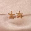 Cold Style Fashion Trend Starfish Earrings Women's Personalized Design Popular Earrings Ear Jewelry