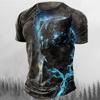 Summer 3D Printed Short Sleeved Street Style Plus Size Top, Fashionable Casual Wear, Men's Lion Sportswear