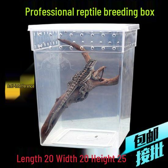 Reptile Habitat Tank for Silkworms, Spiders, Frogs, Snakes, Lizards, Snails, Insects, and Turtles