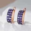 Shiny Purple Natural Zircon English Earrings For Women  Rose Gold And Black Gold Plating Wedding Vintage Jewelry